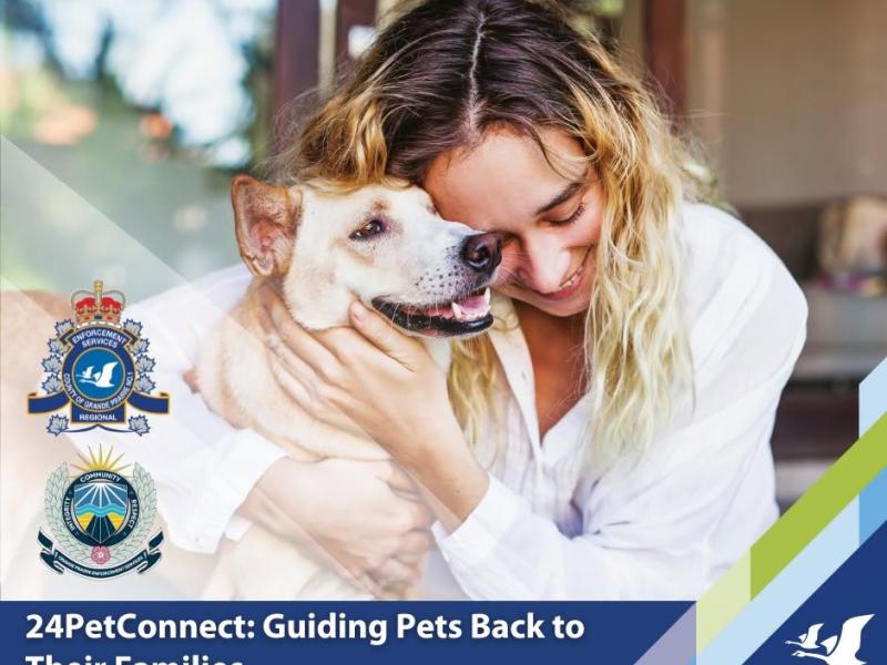 A poster for 24Petconnect